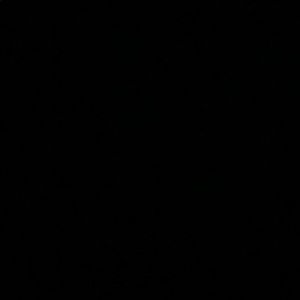 Meet your Posher, Lelia